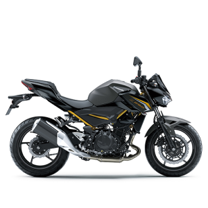 زد 248 ان ای‌بی‌اس 2025